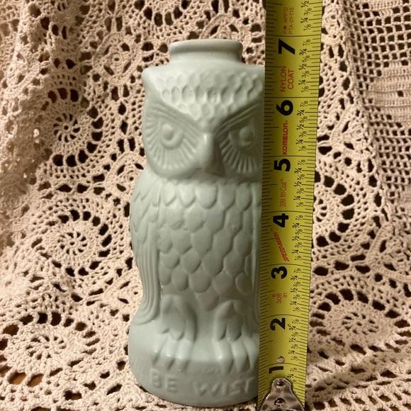 “Be Wise” Owl Bank - Pastel Chalk Paint Eggshell Blue - Picture 6 of 11
